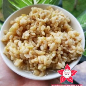 Cơm rượu nếp cái hoa vàng.