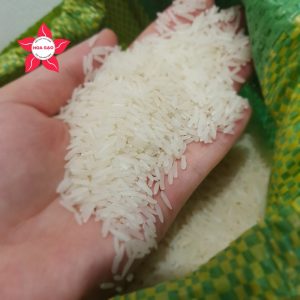 Gạo tám xoan Hải Hậu