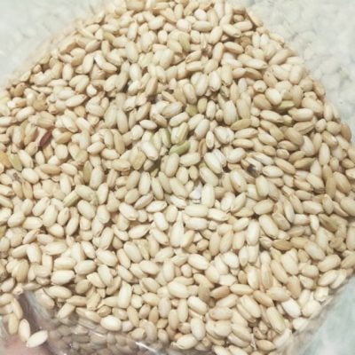 Cơm rượu nếp cái hoa vàng là món ăn dân dã quen thuộc với nhiều người