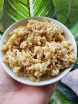 Cơm rượu nếp cái hoa vàng rất tốt cho sức khỏe