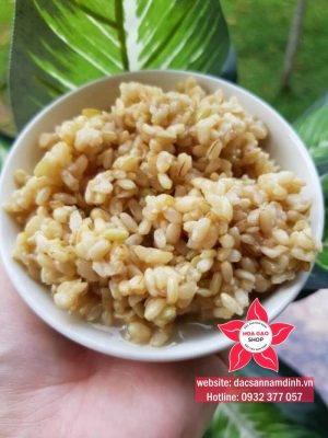 Cơm rượu nếp cái hoa vàng đặc trưng của Hoa Gạo Food