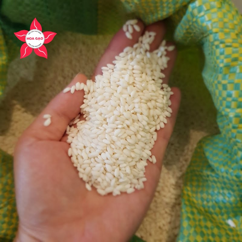 Gạo nếp cái hoa vàng nấu cháo rất ngon