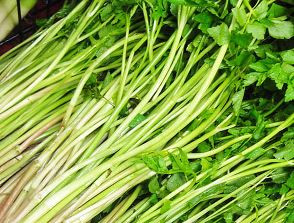 Nếu bạn đang không biết rau ăn lẩu gà là rau gì thì hãy đi mua ngay một bó rau cần nhé!